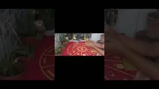 Como estar a vida  do meu  ex(a)estar  feliz  com as escolhas  que fez???