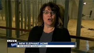 Milwaukee County Zoo opens new elephant exhibit