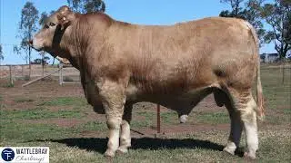 Lot 15 Wattlebray Qantas 936- 0