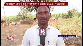 A grass-fed dinner in that village..! | Kothagudem Girijans Prefer Herbal Grass as Food | V6 News