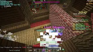 Hypixel Skyblock  The catacombs