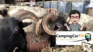 Je Tourisme en camping-car N°148 - De Saint-Engrâce à Don Quichosse !
