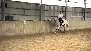 MYYT&Auml;V&Auml;N&Auml;/FOR SALE ! Ravivideo. r. Don Destrier (s. 2005)
