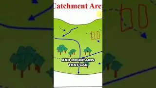 Uncovering the Surprising Truth About Catchment Areas