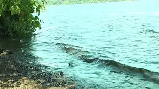 Falling Waters Preserve