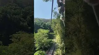 Chiang Mai Jan 2023 | Phoenix Adventure's longest zipline