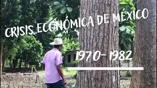 LA CRISIS ECONOMICA DE MEXICO EN 1970-1982.