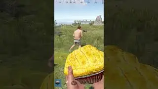 Karma's a Bitch!