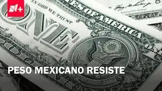 Precio del d&oacute;lar hoy 8 de enero de 2026 | Nuevo valor de la UMA en 2026 - Despierta