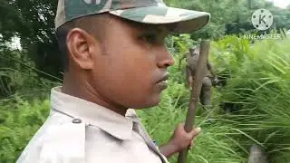Silchar Excise raid