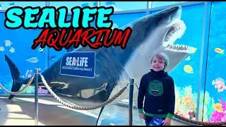 Legoland Aquarium Tour Walkthrough - Sea Life
