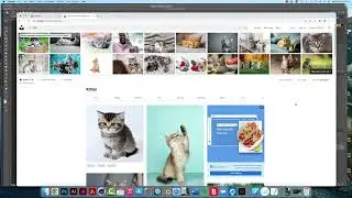 Unsplash for free photos