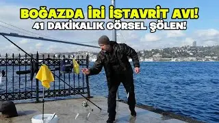 Boğaz'da İRİ İSTAVRİT Avı! 41 Dakikalık G&ouml;rsel Ş&ouml;len [2K 🎥] (Horse Mackerel Fishing Istanbul) 🎣