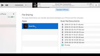 Guerrilla Filmmaker - iTunes file sharing