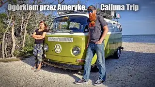 Og&oacute;rkiem przez Amerykę. Calluna Trip