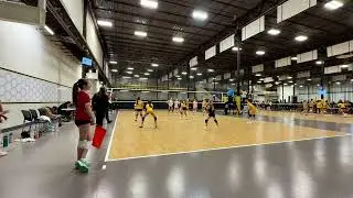 Sting 11 -White VS Sting 11 -Black