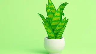 DIY Snake Plant from Paper 🌿 | Easy Indoor Decor Craft | Asha Craft & Art