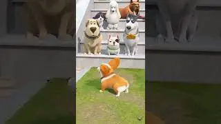 #Animated dog comedy🐶😄/ #Moku funny video/ #funnyshorts/ #shortvideo