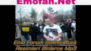 Emo vs Punk Fight / Emofan.Net