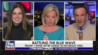 Battling the Blue Wave - Leslie Marshall on Fox News at Night 6/13/18