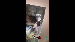 Chimney Cleaning & Fireplace Repair | Before & After Results (Dallas Fort Worth)
