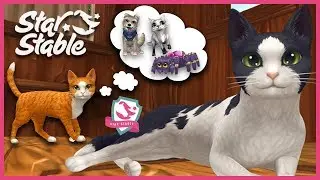 Comparing SSO's New Cat to Previous Pets in Star Stable Online 🐴