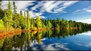 London Ontario Canada 2026 Finding The Forest To Camp In The Night