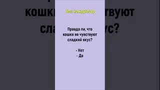 421. Тест на кругозор