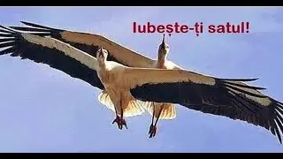 Hramul Satului Săiți 2024