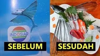 KEHIDUPAN IKAN INDOSIAR !!!