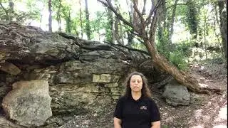 Battle of Carthage State Historic Site public meeting 2022