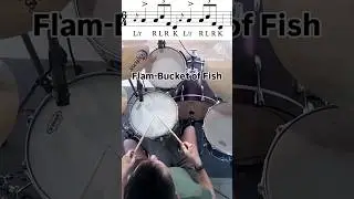 The Flam Bucket of Fish 🐠 #drumlick