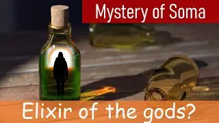 Soma - Is it the elixir of the gods or something more? Does the soul become food for the celestials?