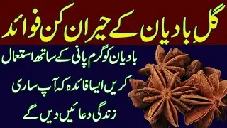 Wonderful Benefits of Badiyan Phool Anise Seed medicare Tips Hindi | Urdu/Barkaat ul Islaam