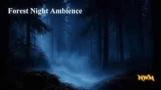 Forest Night Ambience | Cinematic Atmospheric Music for Calm