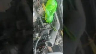 Mahindra Scorpio m2di engine timing #machine #automobile #trending #viral #machanical