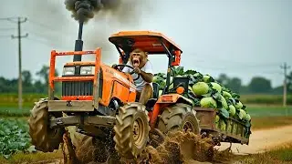 बंदर का बंद गोभी से भरा ट्रैक्टर कीचड़ में पसा//Bandar mini tractor cartoon video