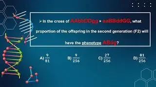 Solving Genetics Problems | Number 1