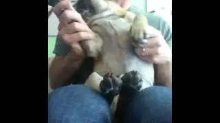 We'repug