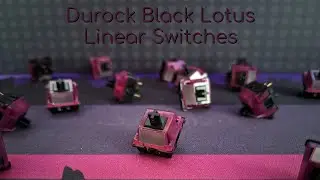 So close... | Durock Black Lotus Linear Switches (PC Ciel65)