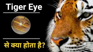 Tiger Eye Stone benefits in hindi | When should I wear tiger eye stone | What is Tigers Eye good for