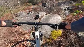 Eales Preserve Mountain Biking - Moosic, PA