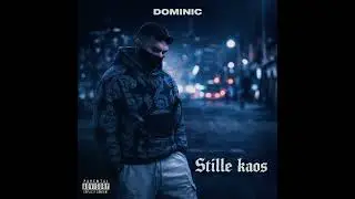 Dominmic- Stille kaos