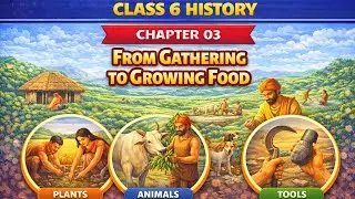 📕 NCERT Class 6 History | Chapter 3 &ndash; From Gathering to Growing Food | Full Explanation