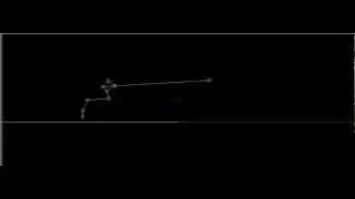 Computer capture of a monitor lizard's running stride