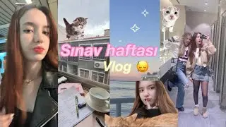 Sınav haftası neden 1 ay gibi hissettirdi? | vlogg