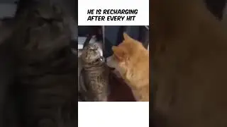 The fact he kept recharging after every hit 😂😂😂 #fyp #funny #funnyvideos #comedy