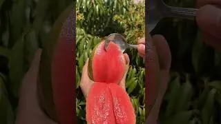 🔥 Real Fruits, Real Sounds &mdash; The Most Satisfying ASMR Ever! ✨  #satisfying