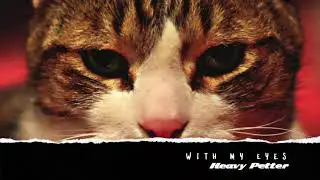 Heavy Petter - With My Eyes