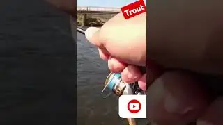 #TroutFishing #sorts #atec #shimano